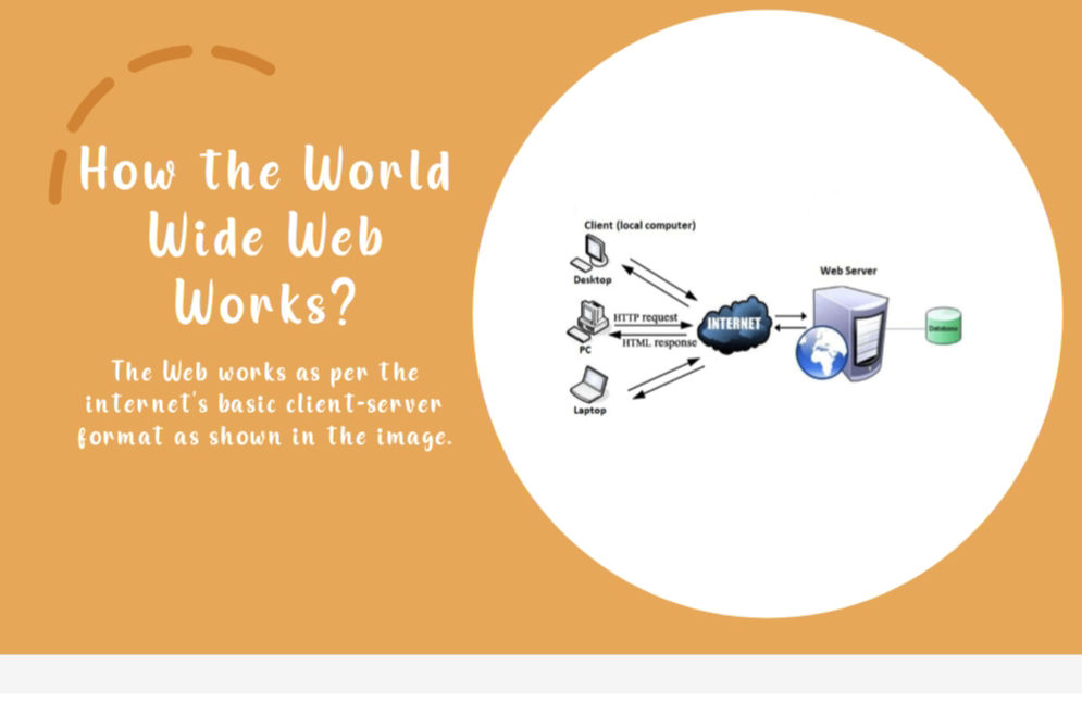 How the World Wide Web Works? The Web works | StudyX