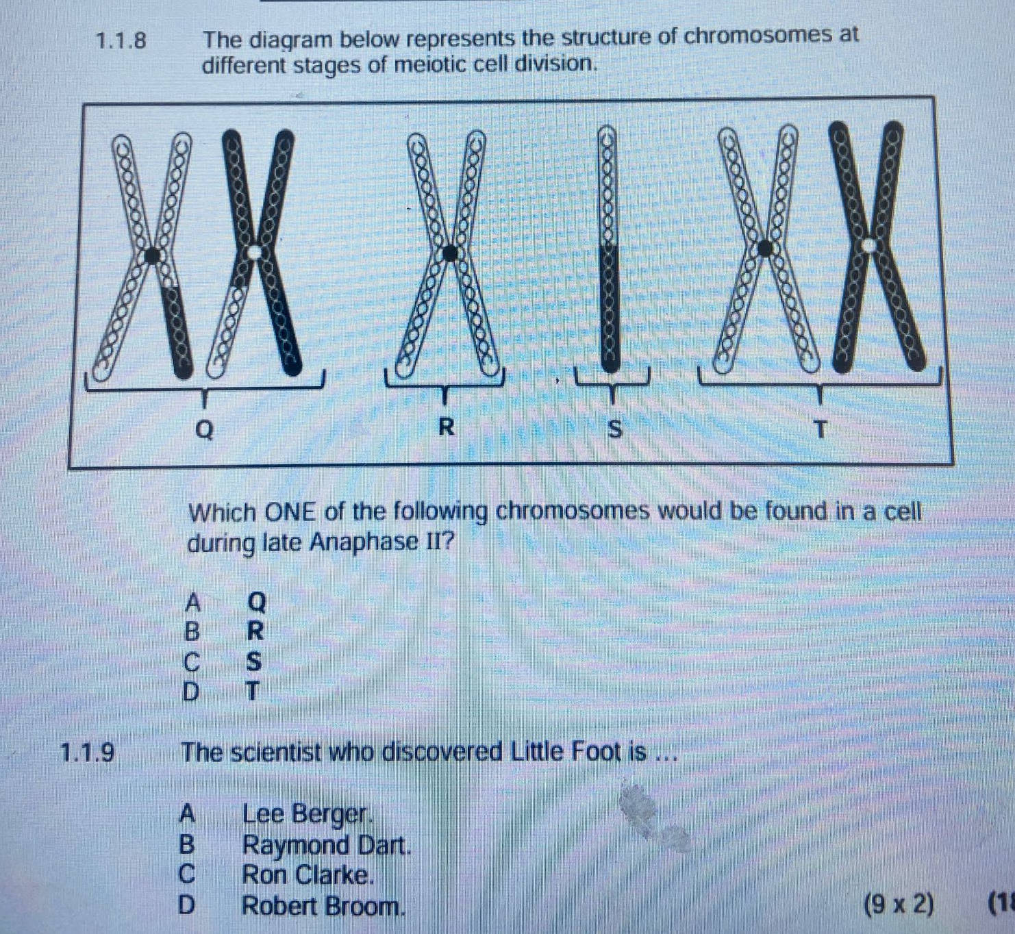The diagram below represents the structure | StudyX