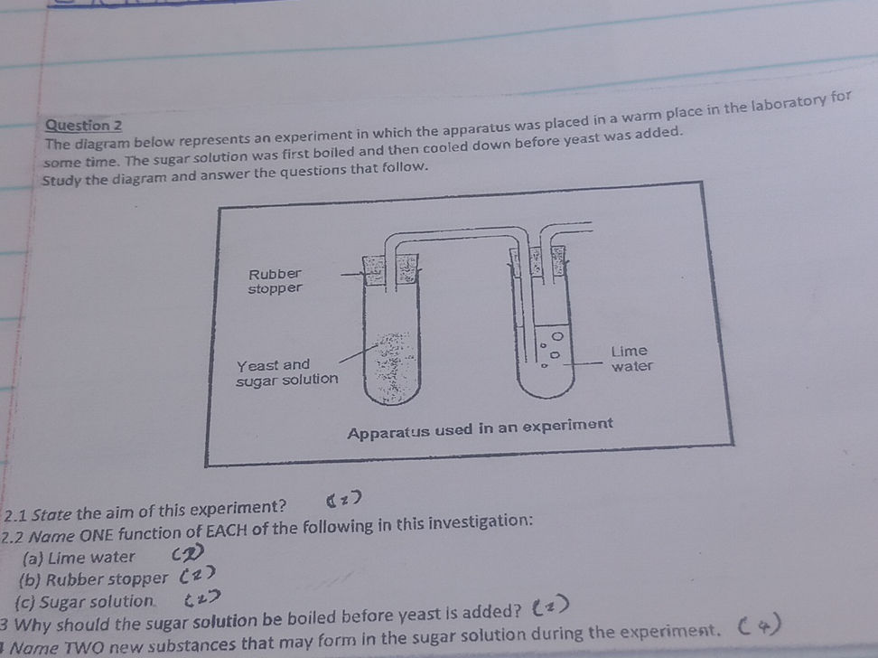 Question 2 The diagram below represents an | StudyX