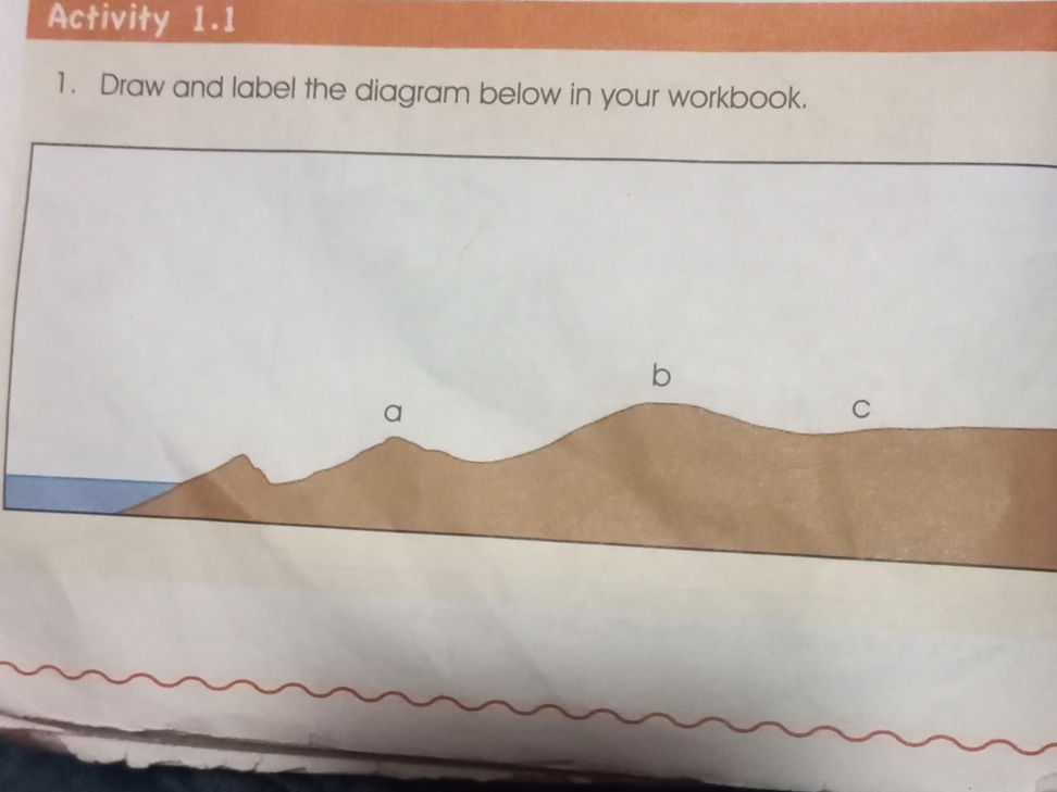 1. Draw and label the diagram below in your | StudyX