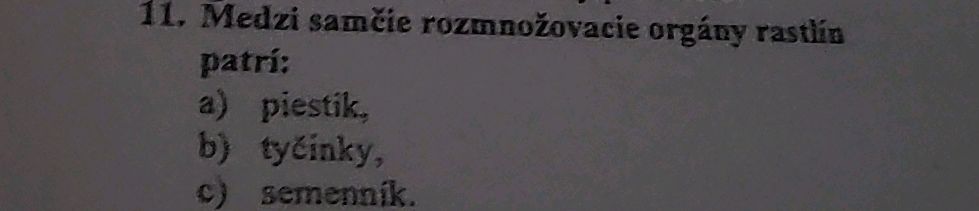 11. Medzi samčie rozmnožovacie orgány | StudyX