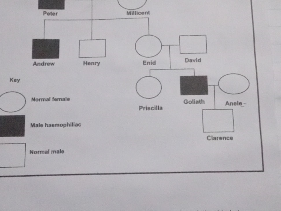 The image shows a pedigree chart. The chart | StudyX