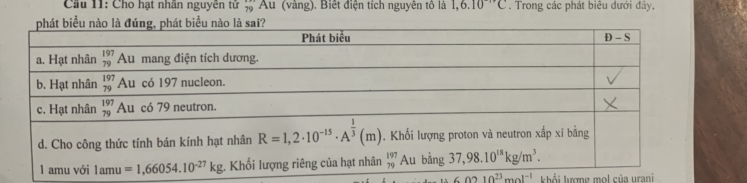 Câu 11: Cho hạt nhân nguyên tử | StudyX