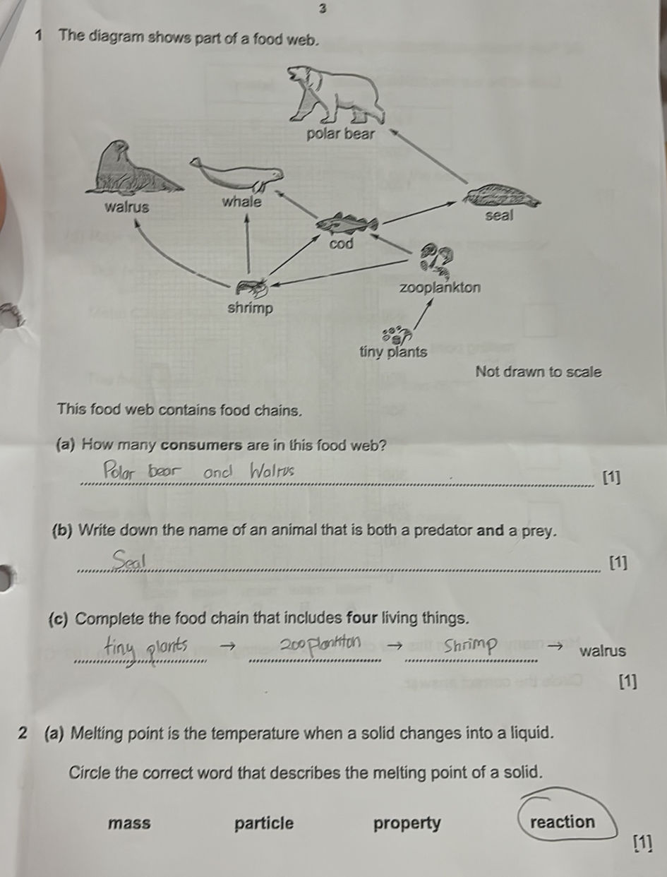 1 The diagram shows part of a food web. (a) | StudyX