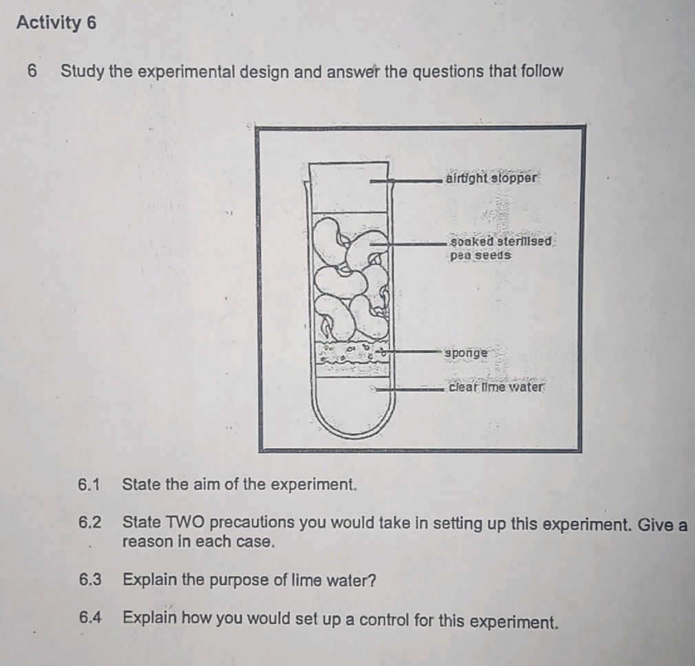 6 Study the experimental design and answer | StudyX