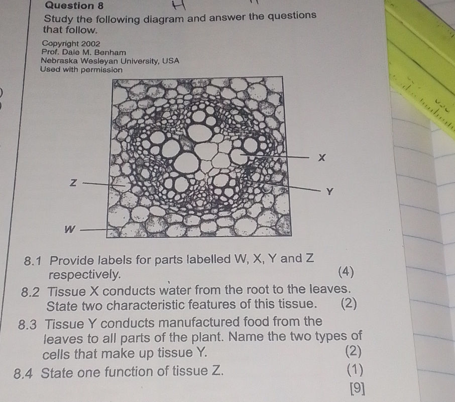 Study the following diagram and answer the | StudyX