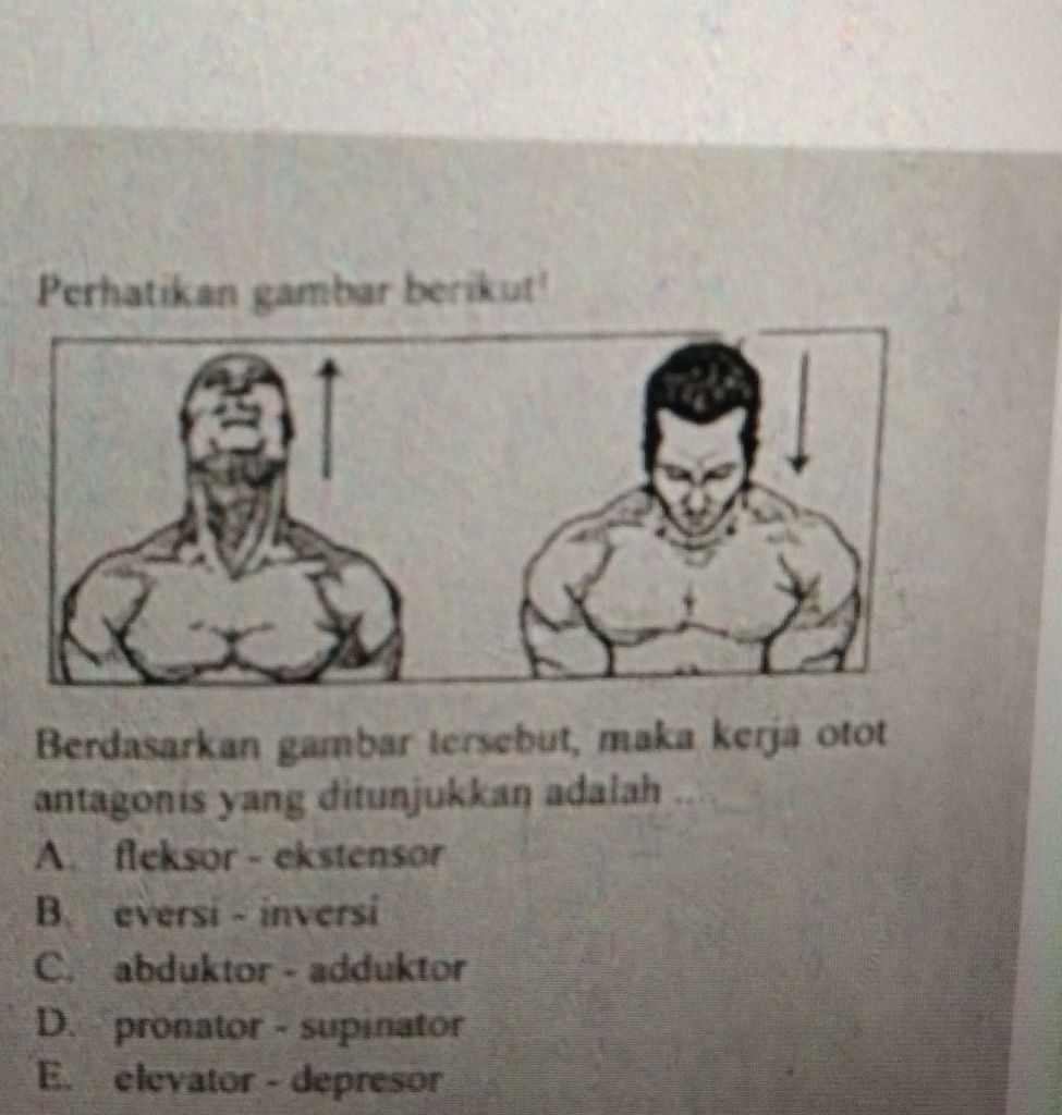 Perhatikan gambar berikut! Berdasarkan | StudyX
