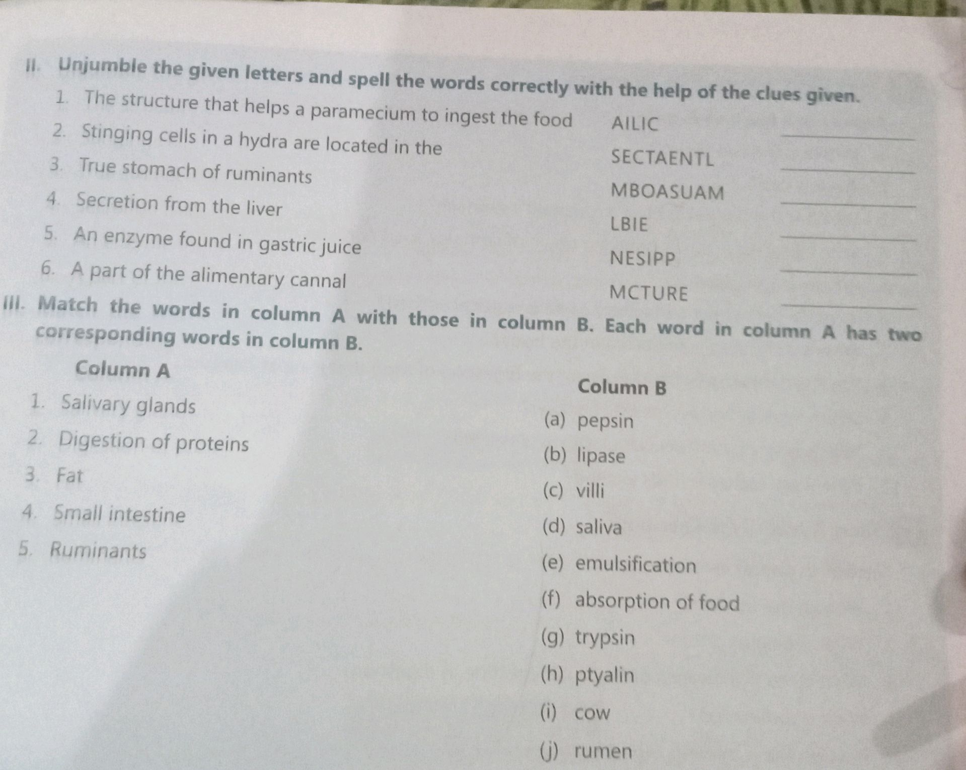 II. Unjumble the given letters and spell the | StudyX