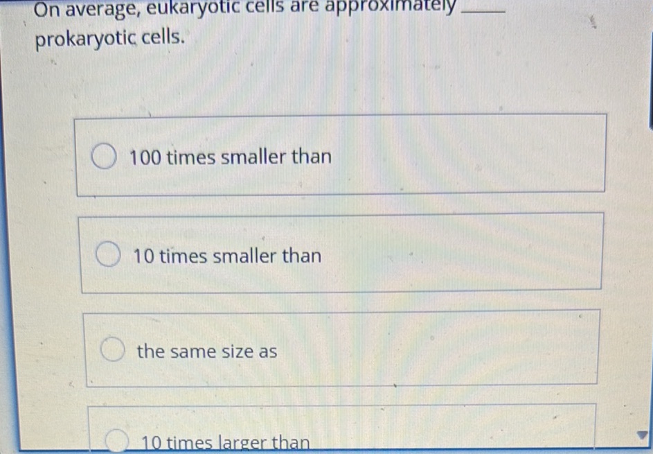 On average, eukaryotic cells are | StudyX