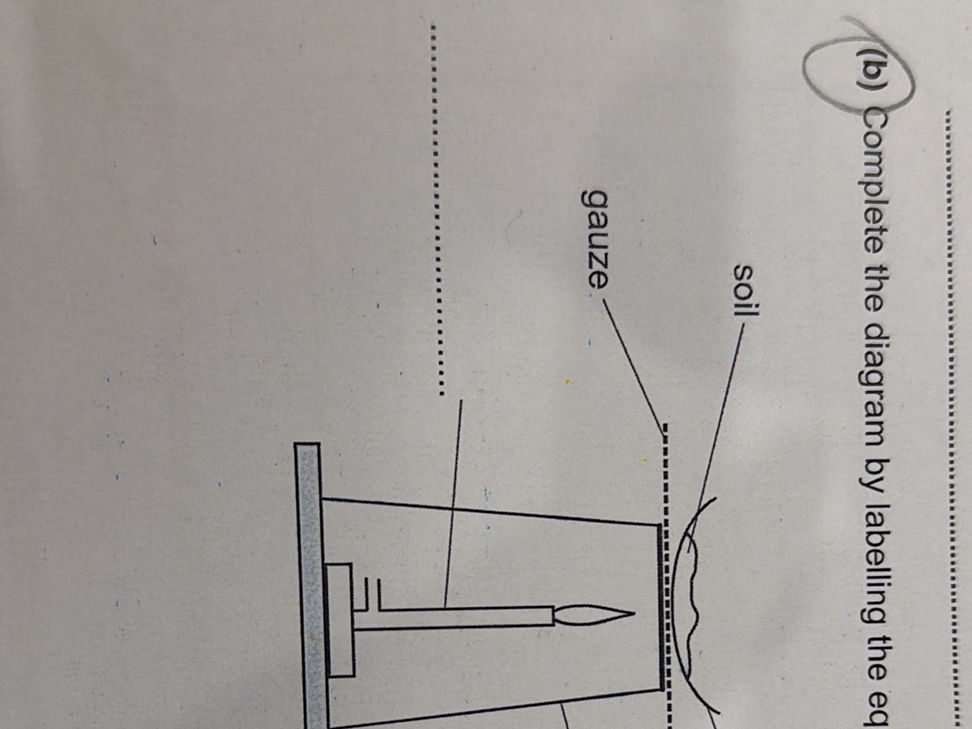 (b) Complete the diagram by labelling the | StudyX