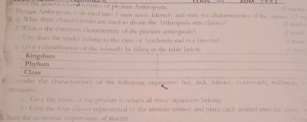 Give the general characteristics of phylum | StudyX