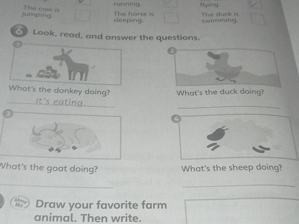 Look, read, and answer the questions. | StudyX