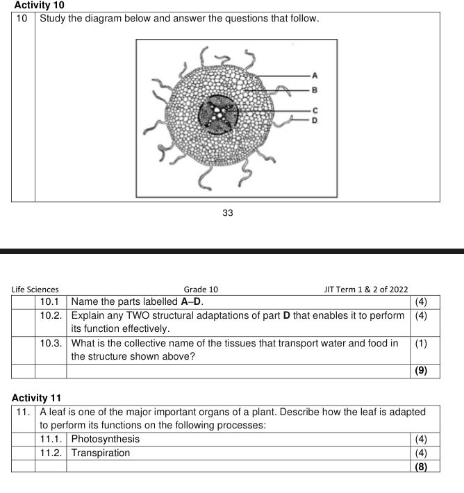 Study the diagram below and answer the | StudyX