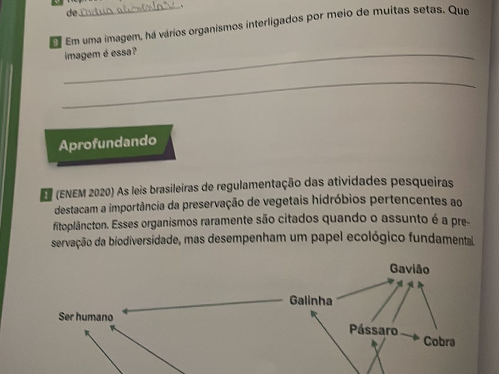 Em uma imagem, há vários organismos | StudyX