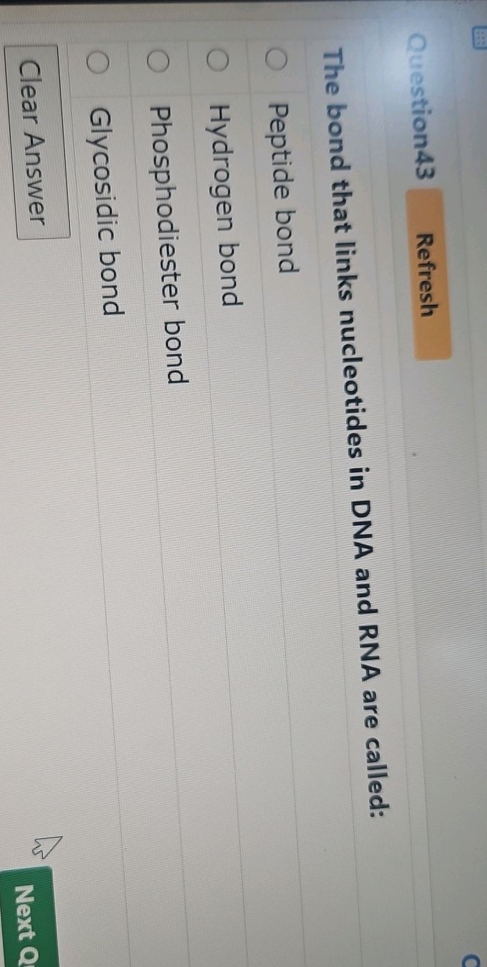 The bond that links nucleotides in DNA and | StudyX