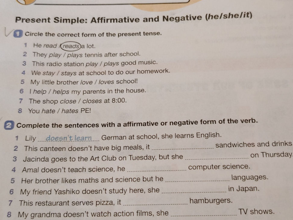 Present Simple: Affirmative and Negative | StudyX