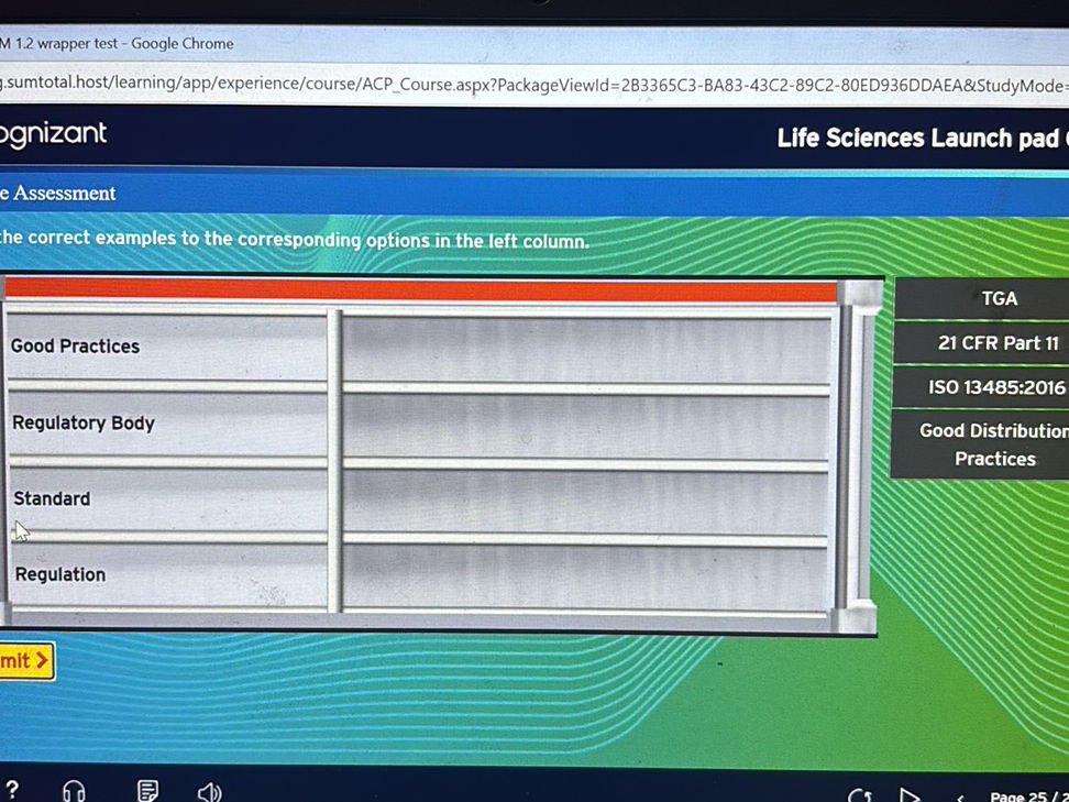Match the correct examples to the | StudyX