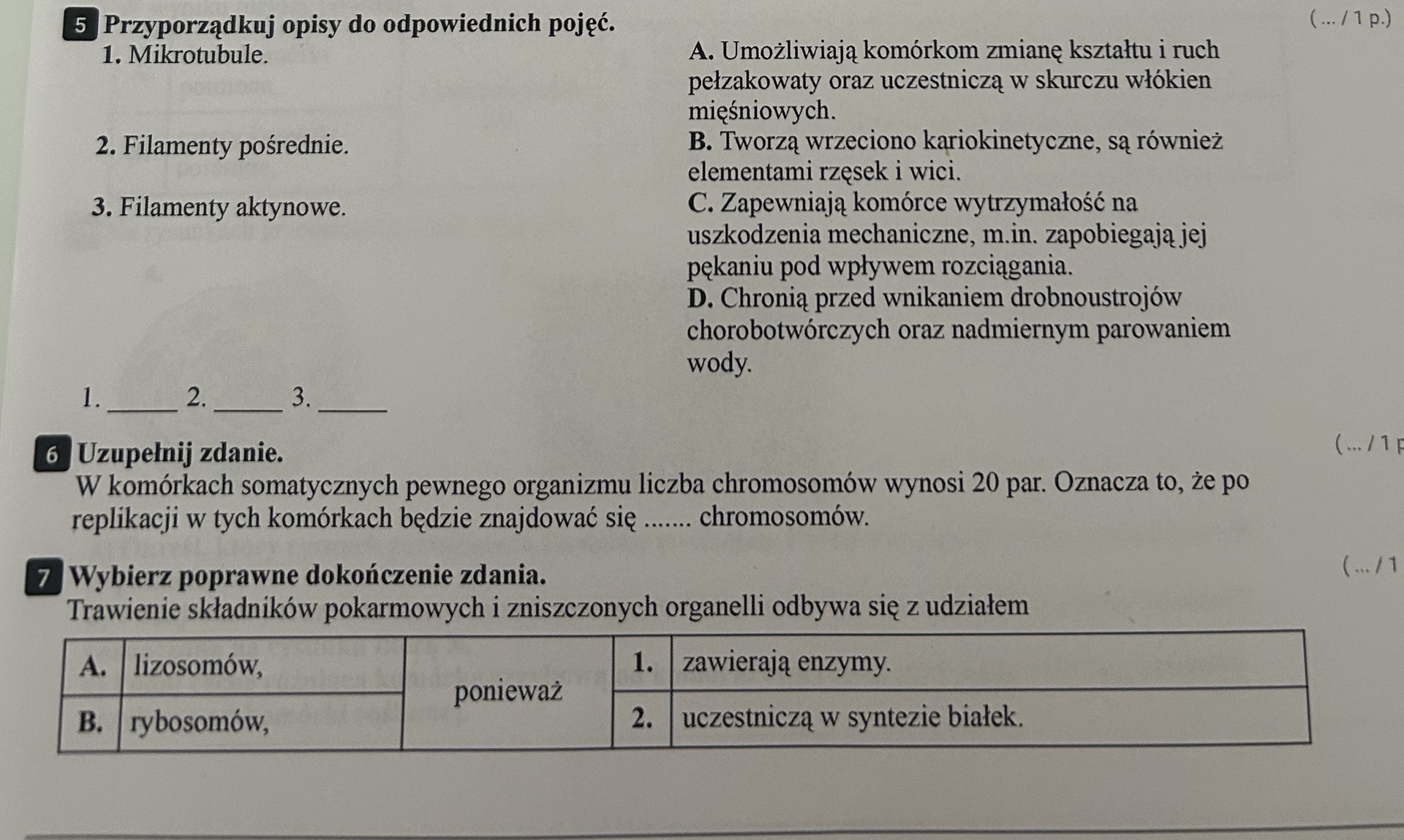 Dopasuj Opisy Do Odpowiednich Etapów Doświadczenia