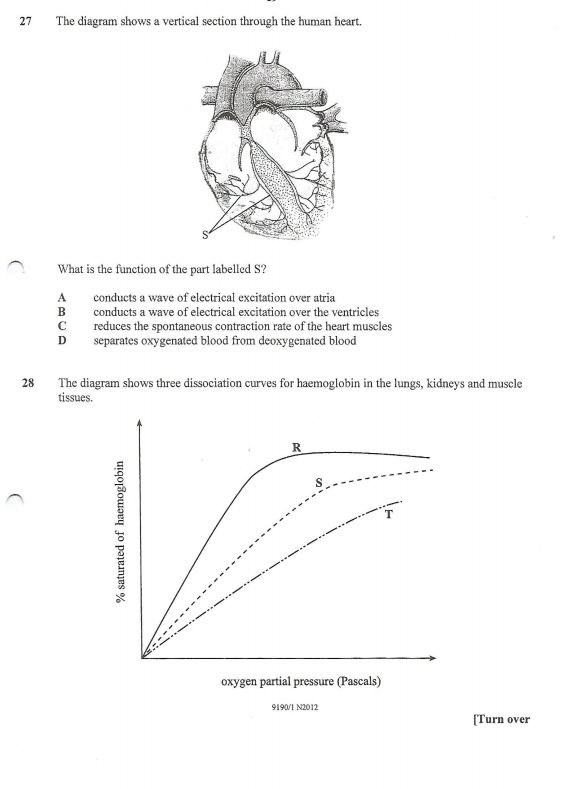 27 The diagram shows a vertical section | StudyX