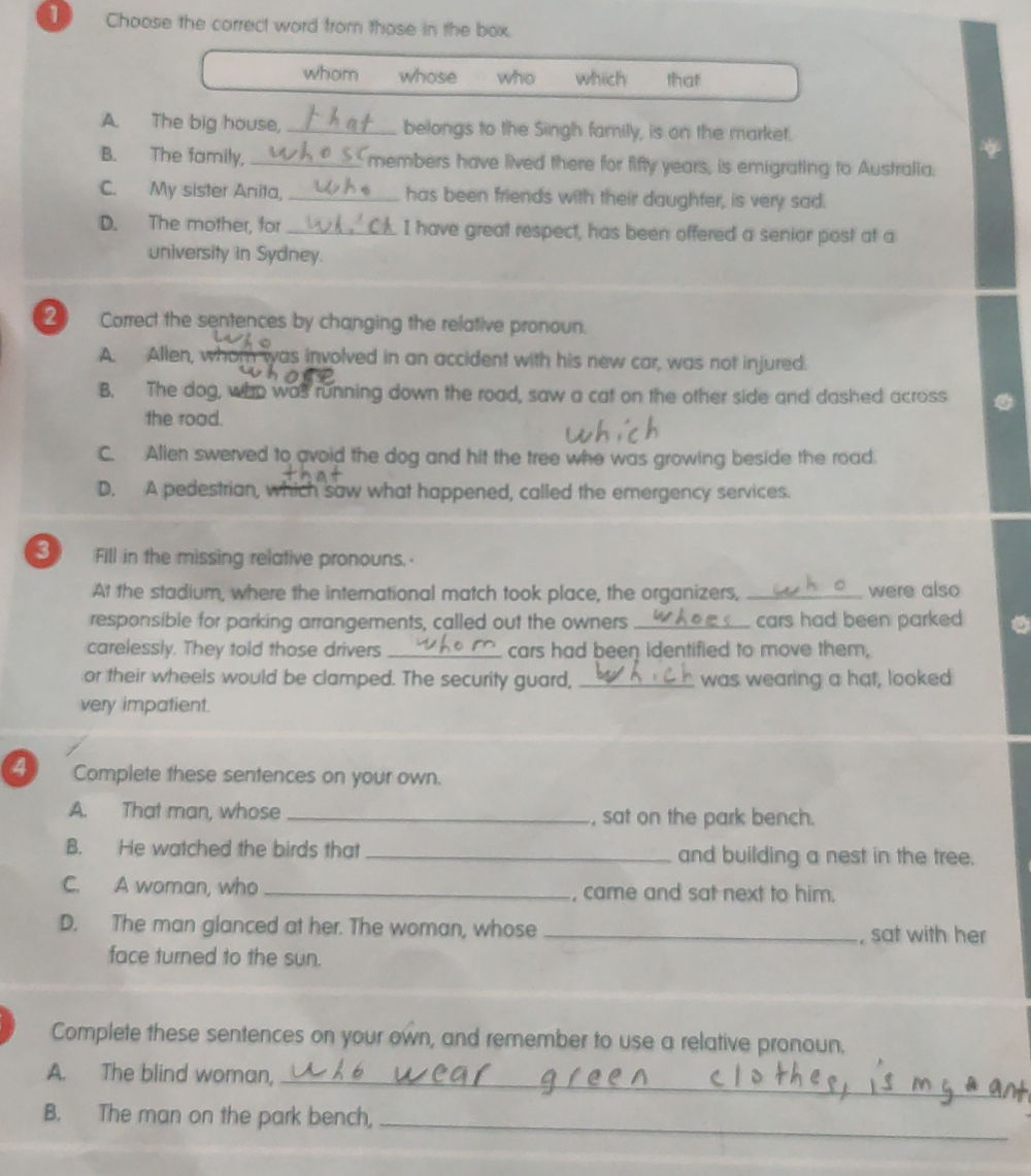 Choose the correct word from those in the | StudyX