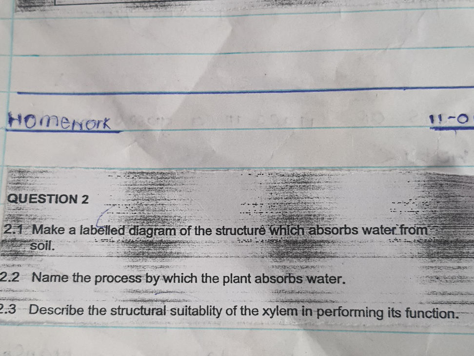 2.1 Make a labelled diagram of the structure