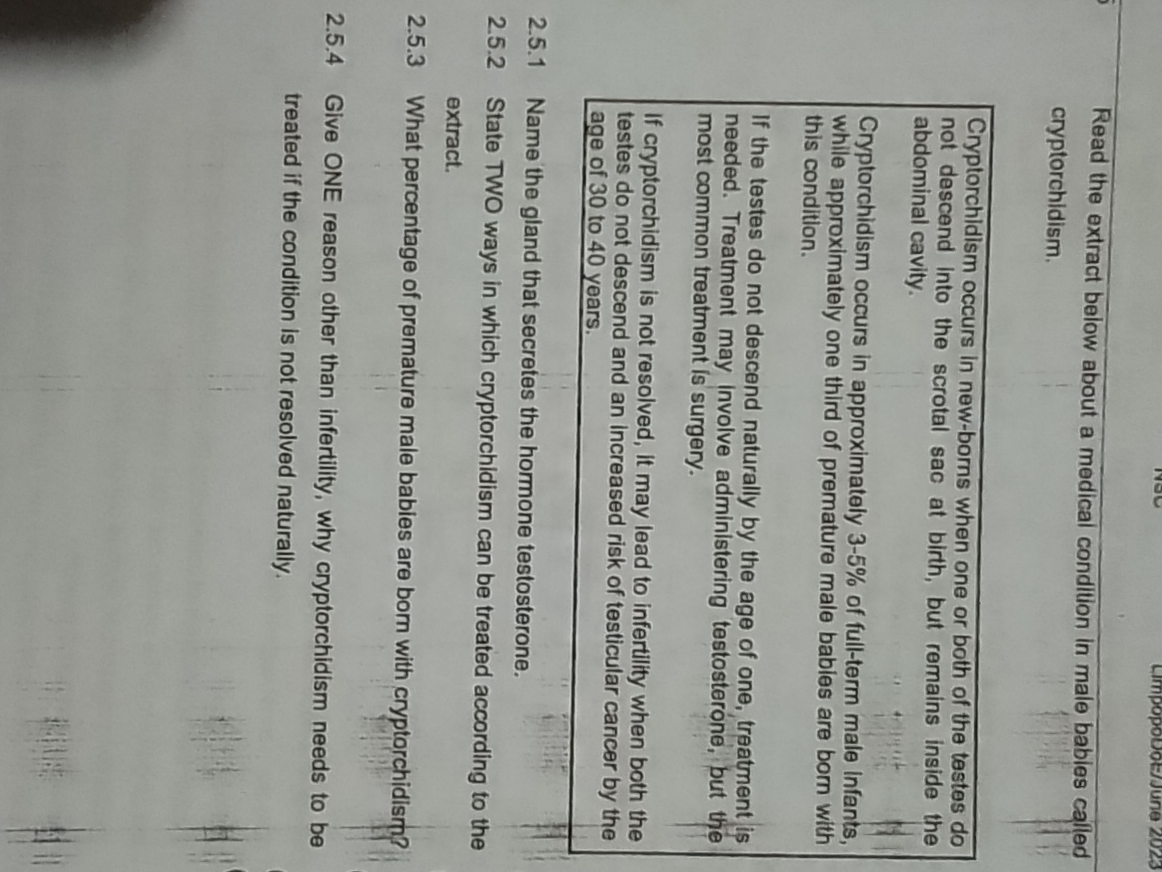 TESTOSTERONE HORMONE GLAND visual data 6