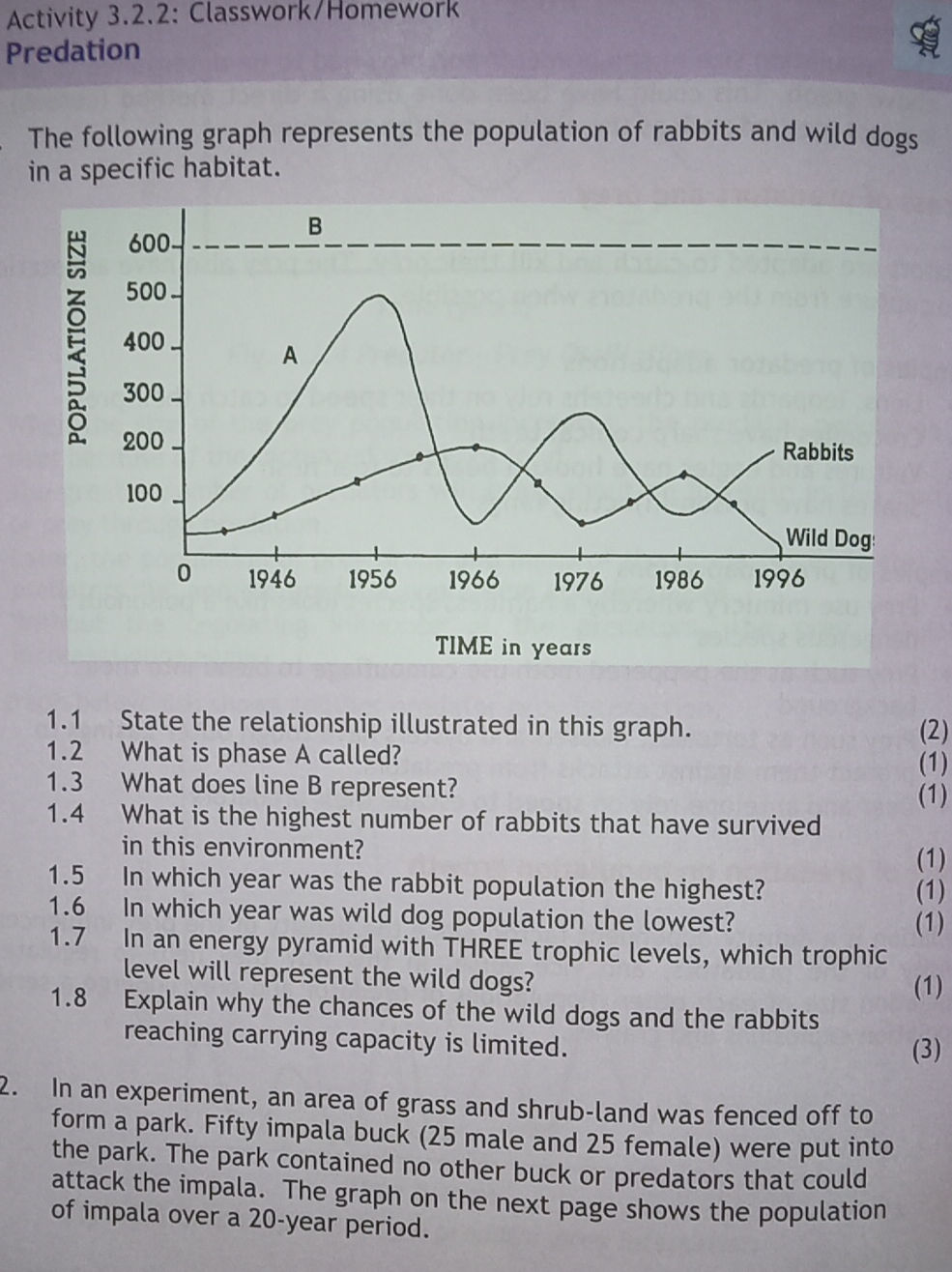 Graphs About Rabbits The following graph represents the | StudyX