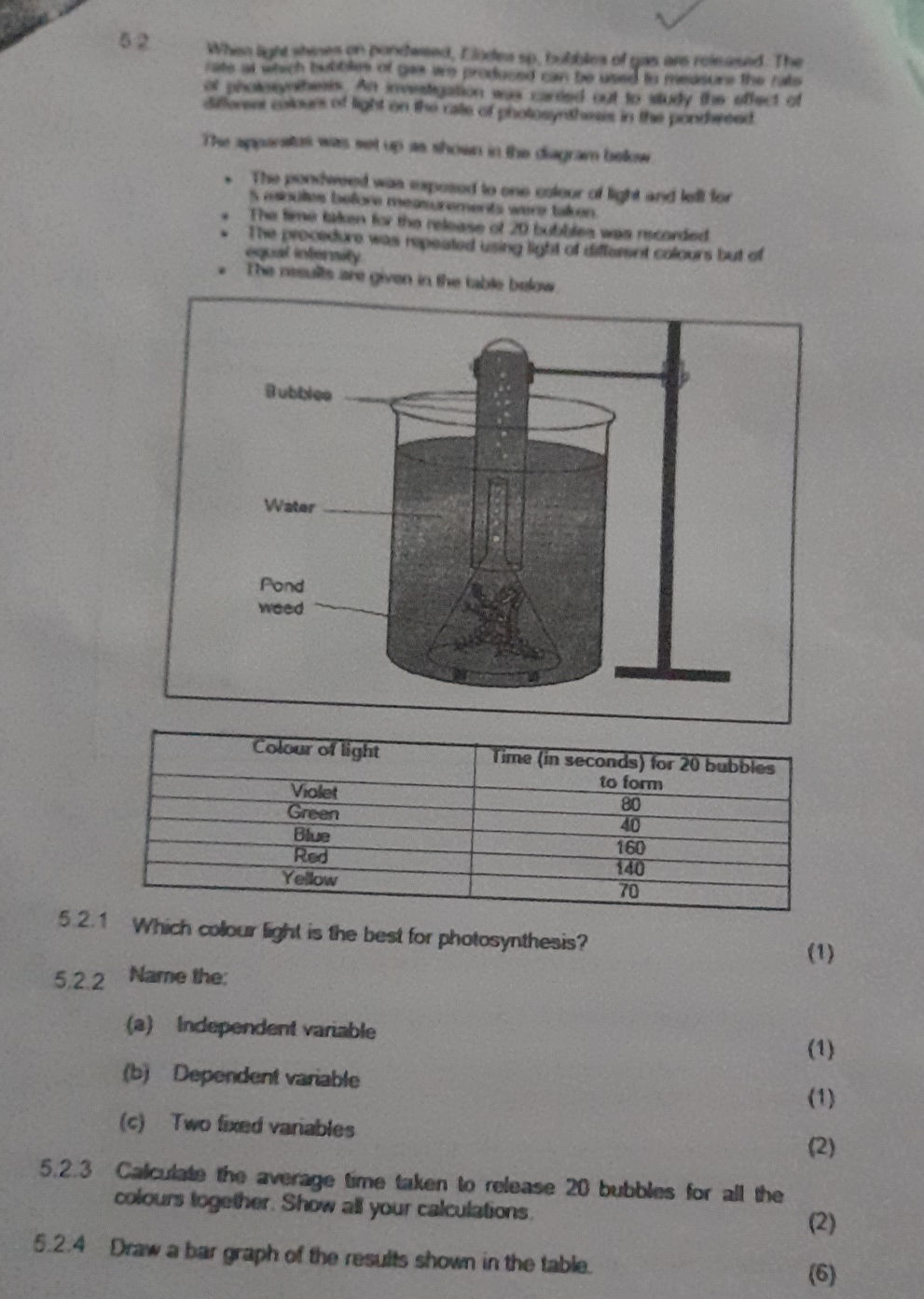 The apparatus was set up as shown in the | StudyX