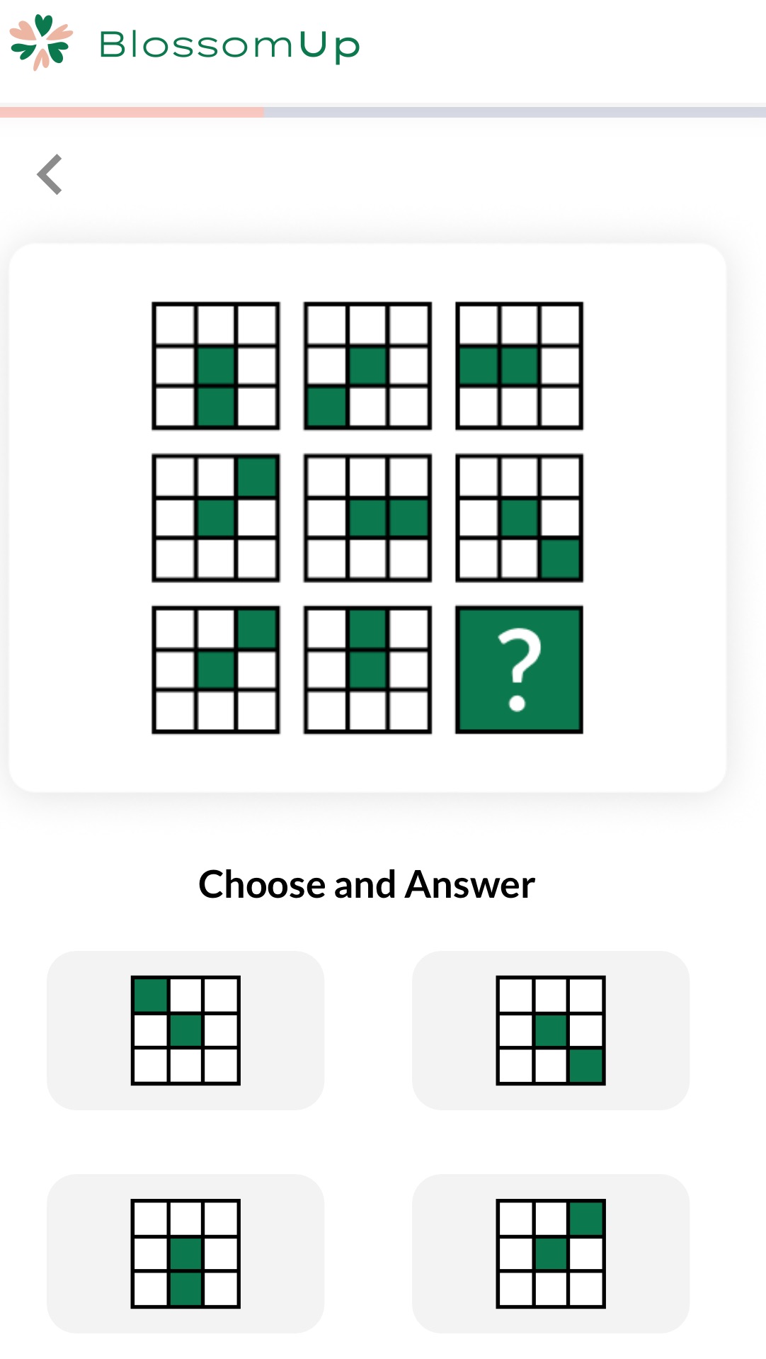 Choose and Answer Options: Option 1: Option