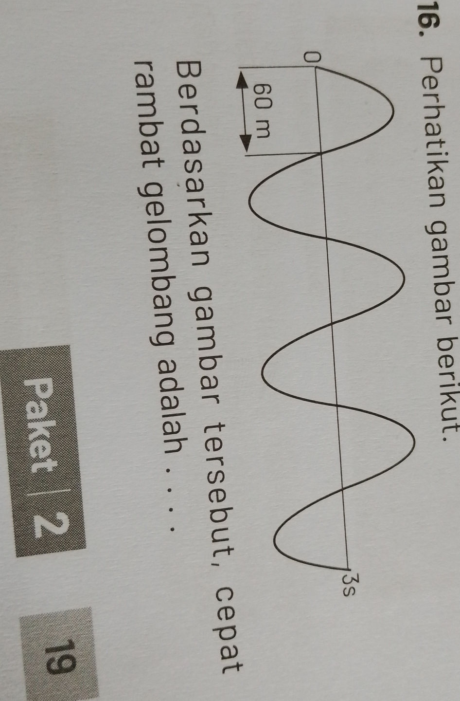 16. Perhatikan gambar berikut. Berdasarkan | StudyX