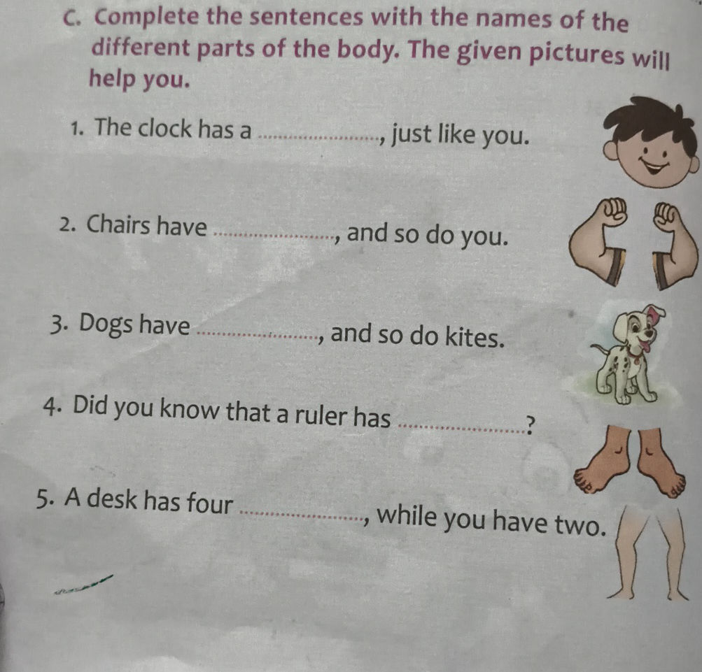C. Complete the sentences with the names of | StudyX
