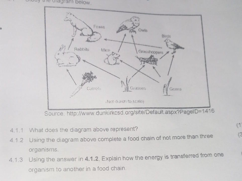 4.1.1 What does the diagram above represent? | StudyX