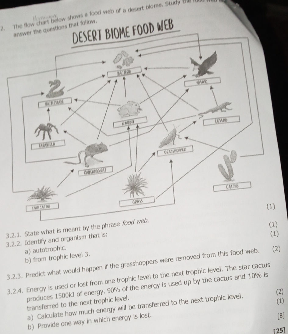 2. The flow chart below shows a food web of | StudyX