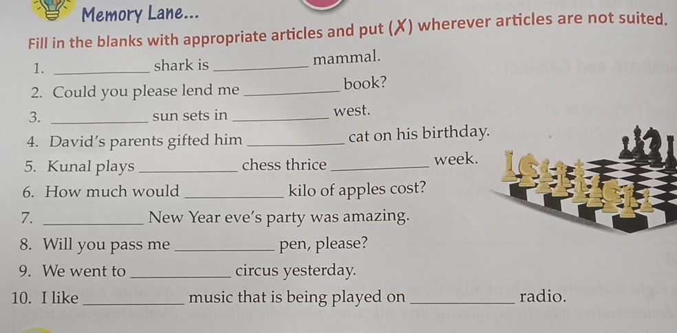 Fill in the blanks with appropriate articles | StudyX