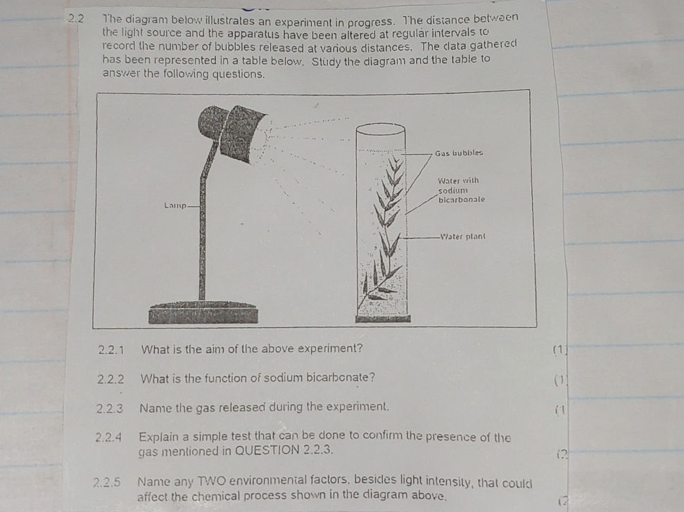 2.2 The diagram below illustrates an | StudyX