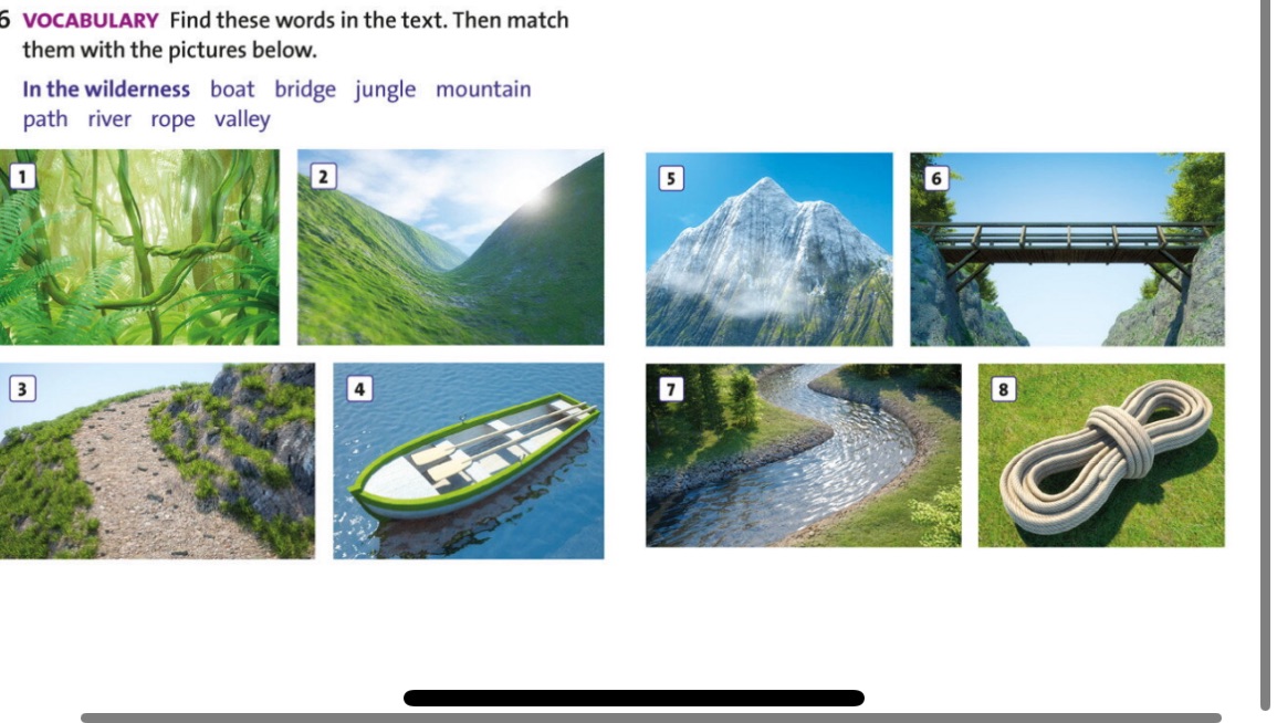Find these words in the text. Then match | StudyX