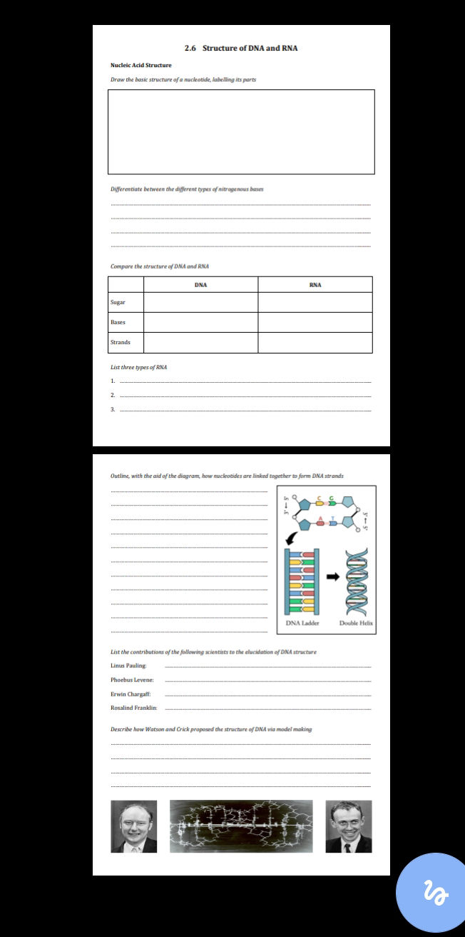 2.6 Structure of DNA and RNA Nucleic Acid | StudyX