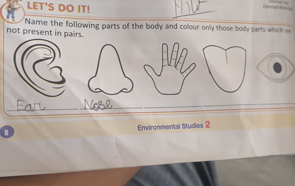Name the following parts of the body and | StudyX