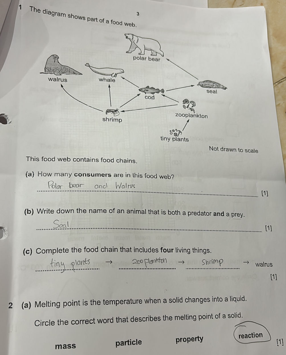 1 The diagram shows part of a food web. (A | StudyX