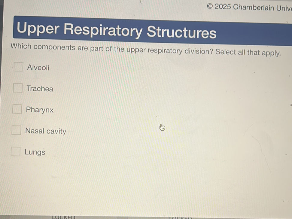 Which components are part of the upper | StudyX