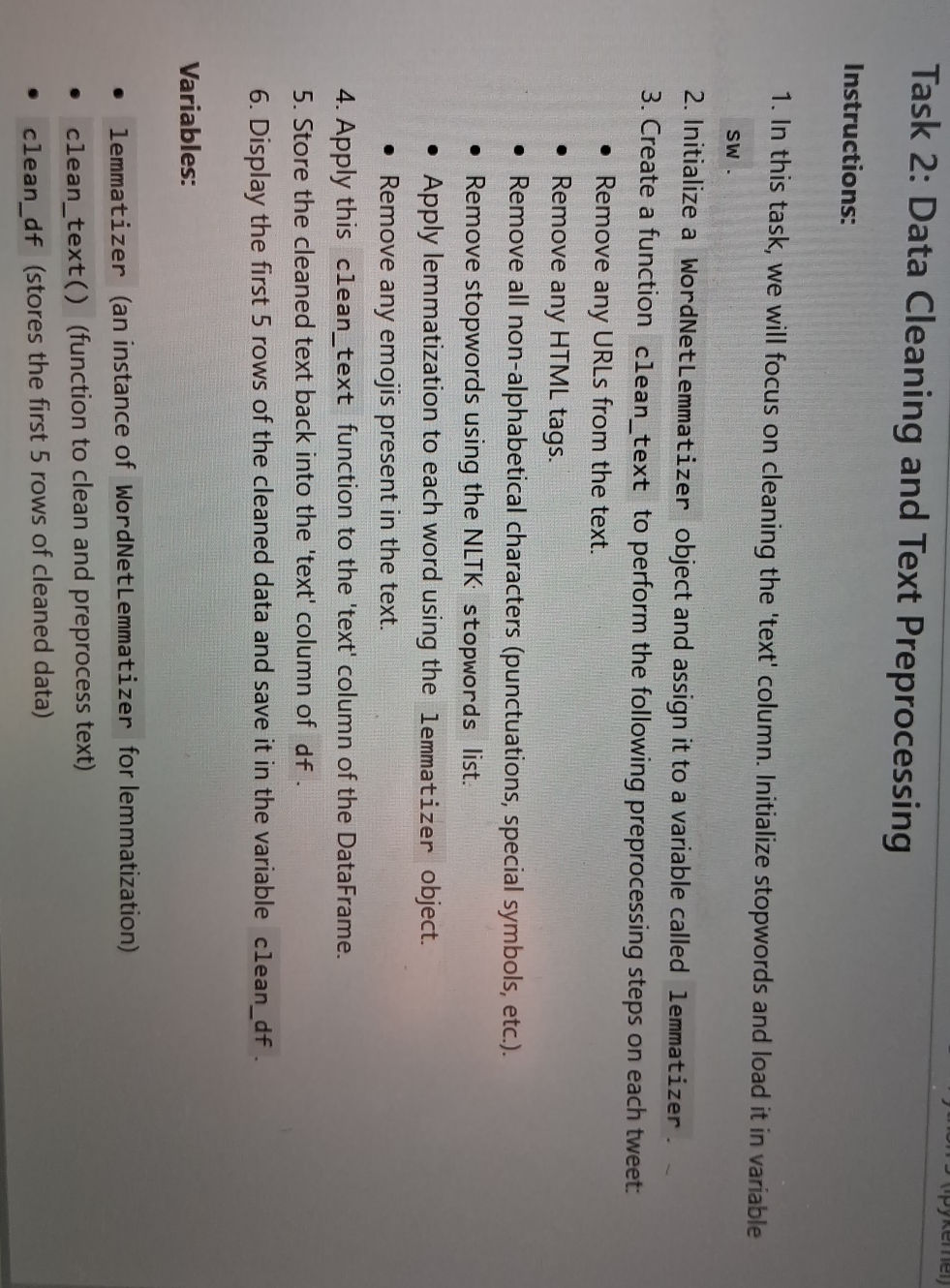 Task 2: Data Cleaning and Text Preprocessing
