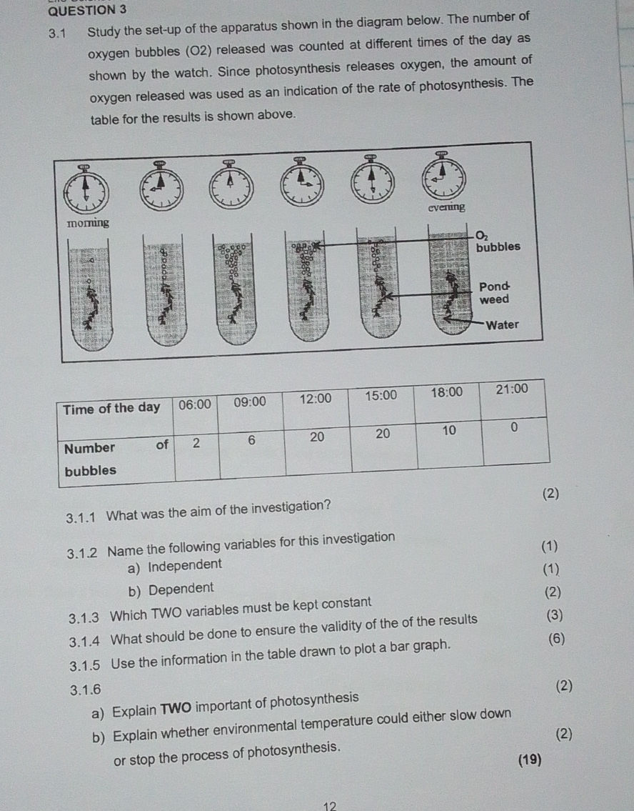 3.1 Study the set-up of the apparatus shown | StudyX