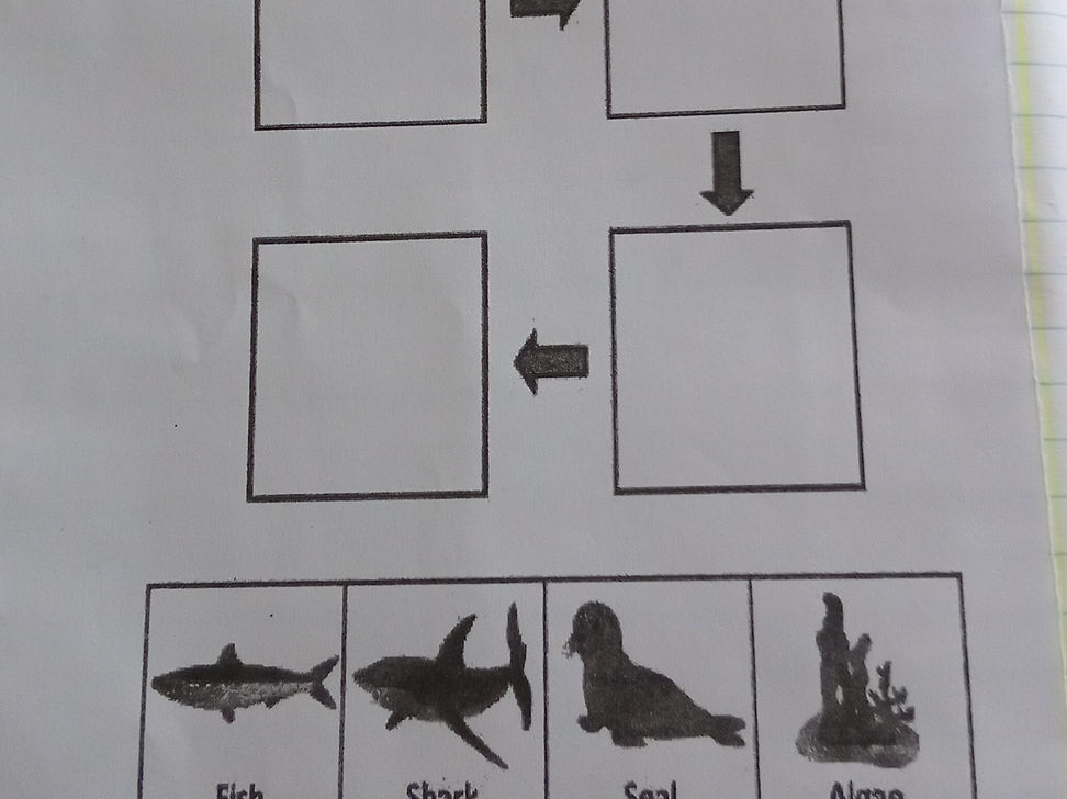 The image shows a food chain diagram with | StudyX