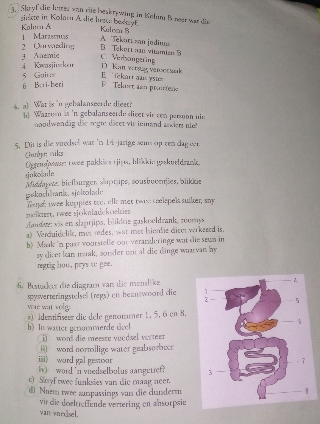 Dunderm 3. Skryf die letter van die beskrywing in | StudyX