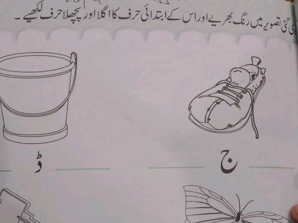 کی کی تصویر میں رنگ بھرے اور اس کے ابتدائی | StudyX