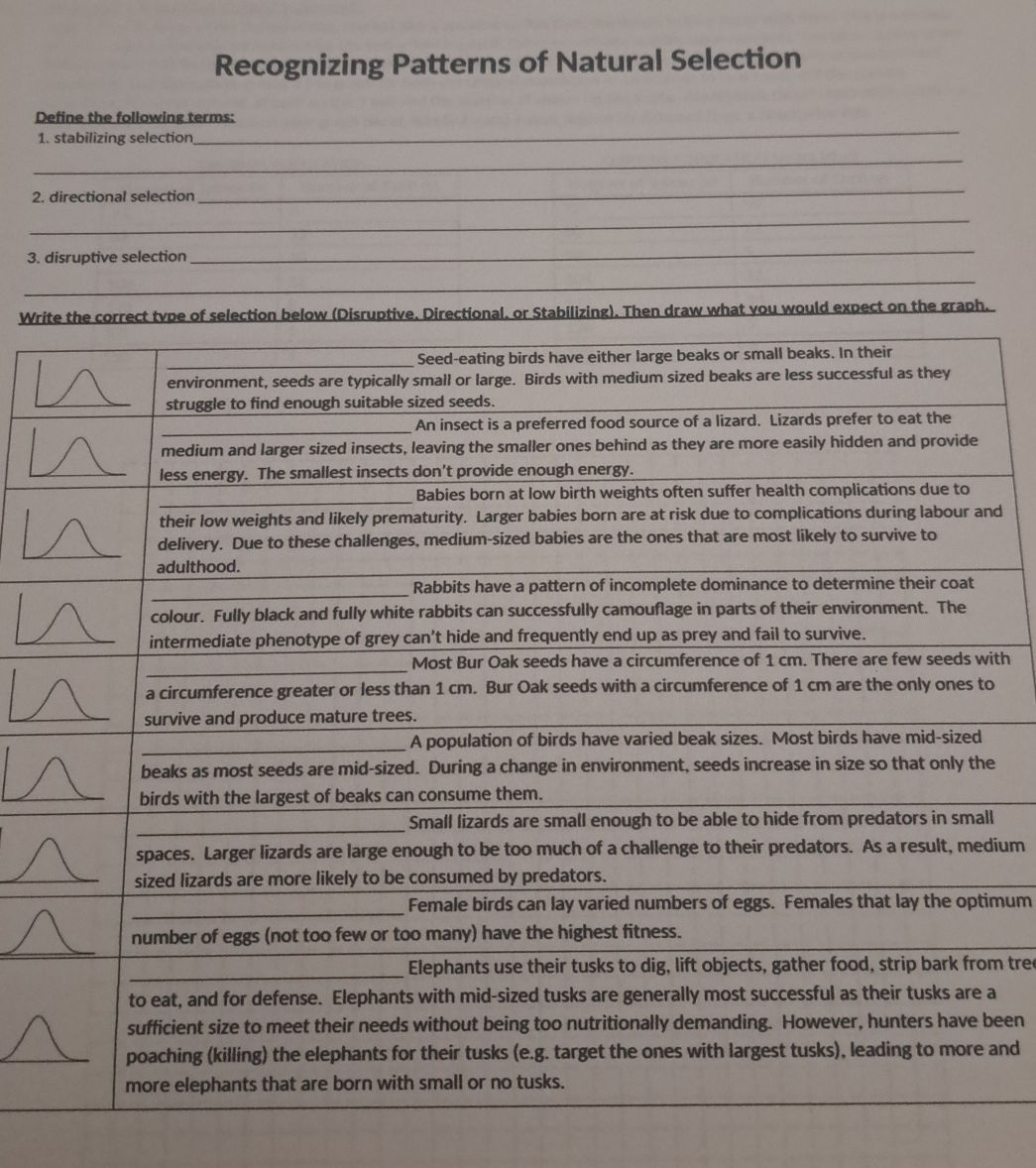 Define the following terms: 1. stabilizing | StudyX