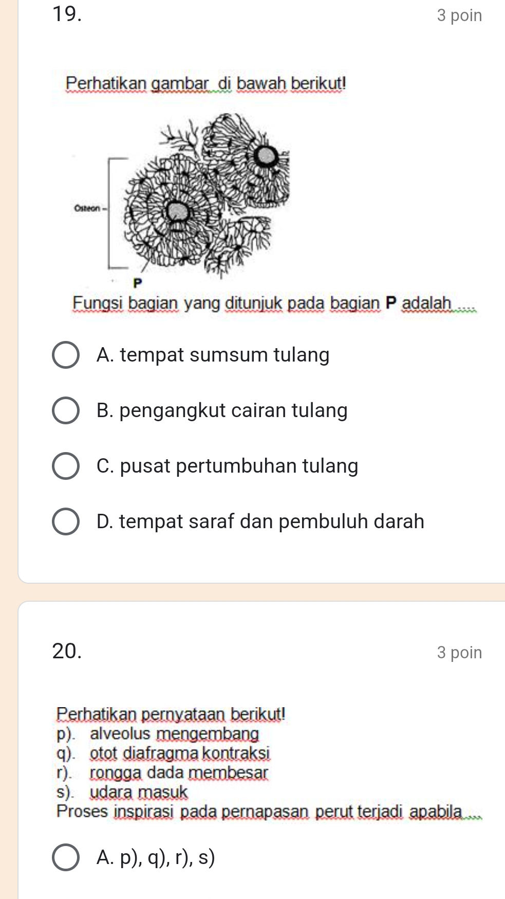 19. Perhatikan gambar di bawah berikut! | StudyX