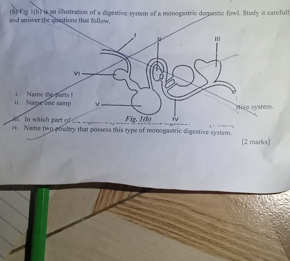 (b) Fig 1(b) is an illustration of a | StudyX