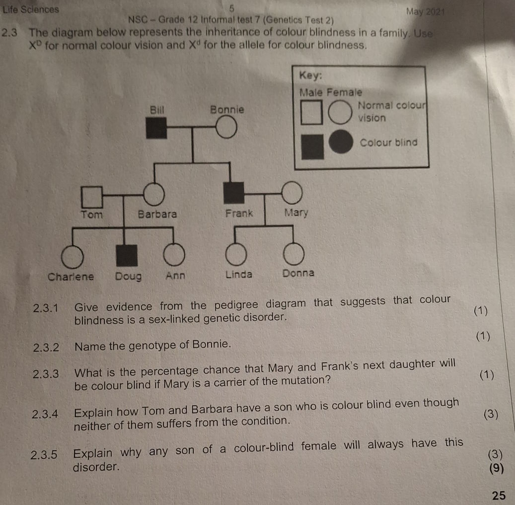 2.3 The diagram below represents the | StudyX