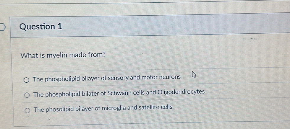 Question 1 What is myelin made from? The | StudyX
